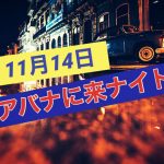 11月14日サルサナイトのお知らせ